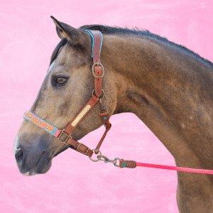 Indian Summer Paardenhalster - Full