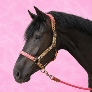 Gypsy Paardenhalster - Full